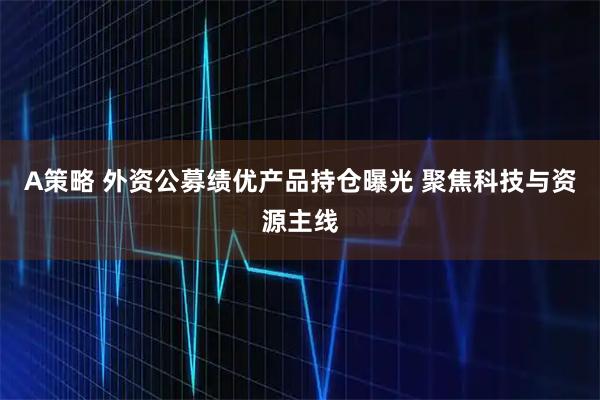 A策略 外资公募绩优产品持仓曝光 聚焦科技与资源主线