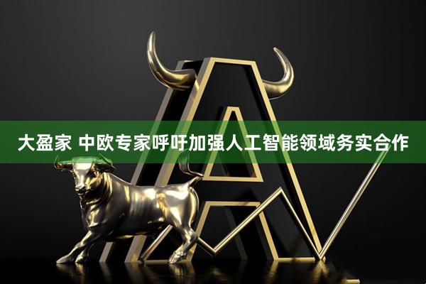 大盈家 中欧专家呼吁加强人工智能领域务实合作