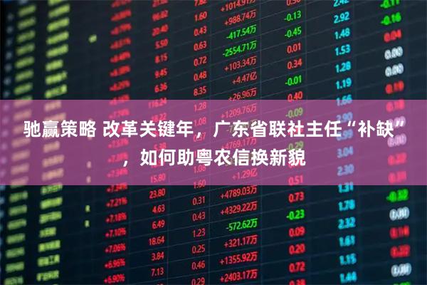 驰赢策略 改革关键年,广东省联社主任“补缺”,如何助粤农信换新貌