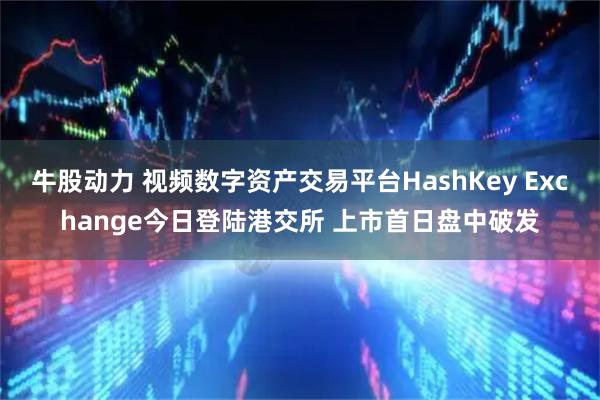牛股动力 视频数字资产交易平台HashKey Exchange今日登陆港交所 上市首日盘中破发