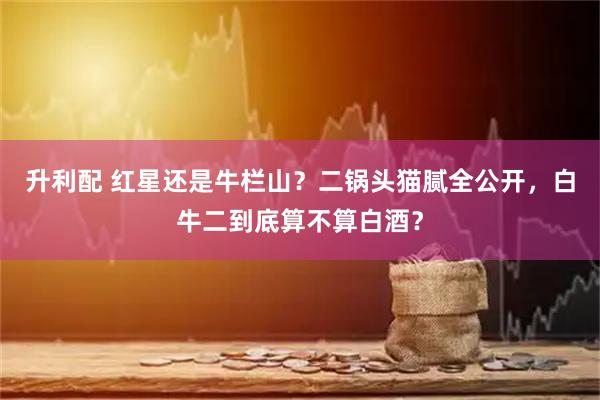 升利配 红星还是牛栏山？二锅头猫腻全公开，白牛二到底算不算白酒？